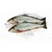 Форель РАДУЖНАЯ вес
