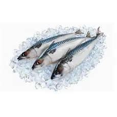 Скумбрия 300-600 с\м вес