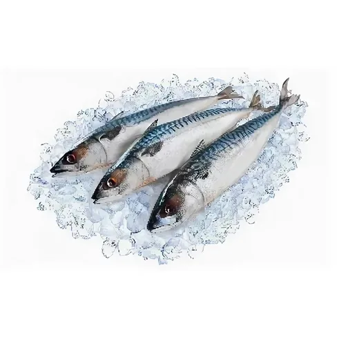 Скумбрия 300-600 с\м вес