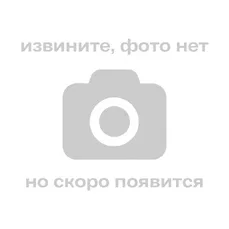 Манго Сушеный 500гр