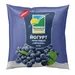 Черноморский МЗ Йогурт черника 2,5% 400гр
